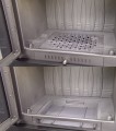 ruszt i płotek2.jpg