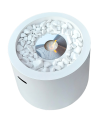 5902730355007 - Moon White (1).png