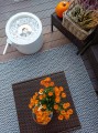 5902730355007 - Moon White 3.jpg
