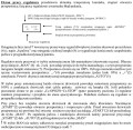2 rt08 OS titanium ekran pracy.jpg