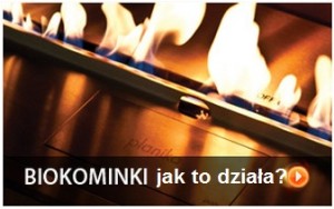 KILKA SŁÓW O BIOKOMINKACH